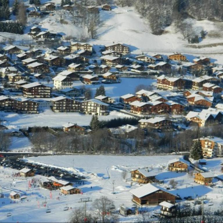 Le jardin des neiges - Appartement 1 Chambre Supérieur avec Balcon - 23