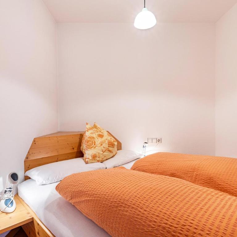 Appartments Reichegger - Apartamento Superior de 1 dormitorio con balcón - 2