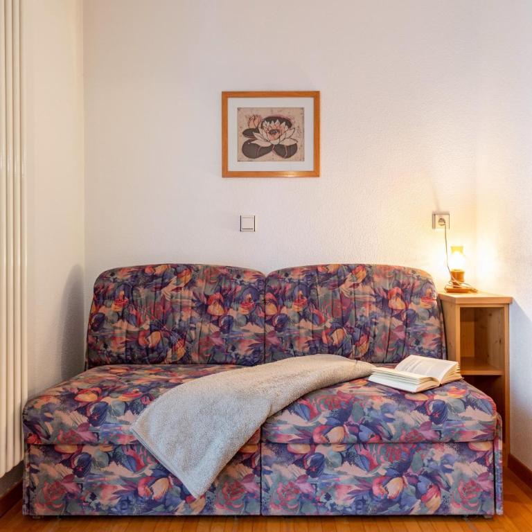 Appartments Reichegger - Apartamento Superior de 1 dormitorio con balcón - 5