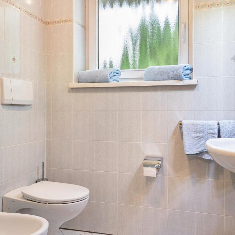Appartments Reichegger - Apartamento Superior de 1 dormitorio con balcón - 19