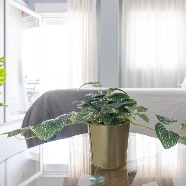 Torremolinos Dream Sea Views - Studio with Terrace - 9