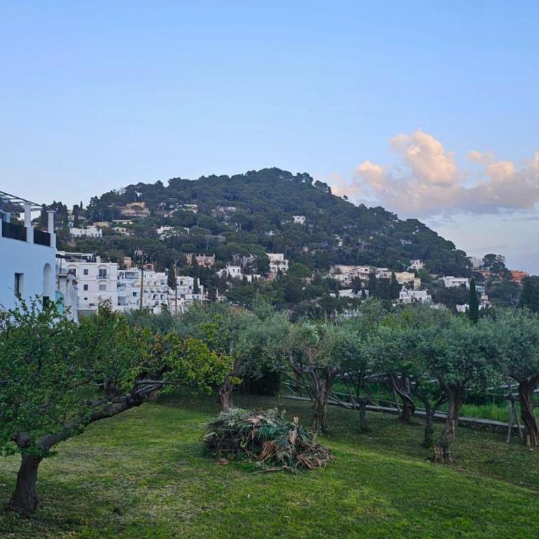 Casa Due Golfi - Casa a Schiera con 2 Camere da Letto - 29