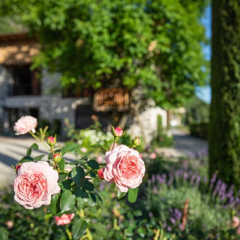 Innerbachlerhof - Gantkofel - Deluxe-Apartment mit 2 Schlafzimmern und Gartenblick - 26