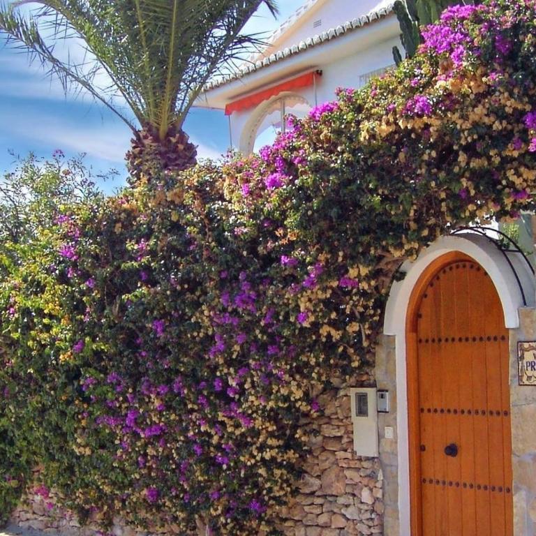 Wonderful Villa Princessa - Villa con vistas al mar - 5