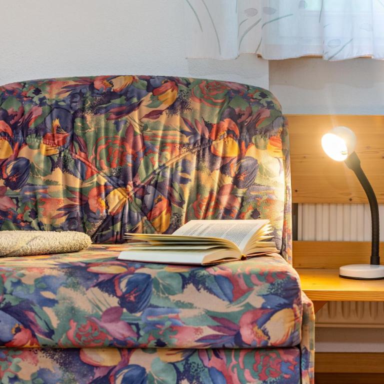 Appartments Reichegger - Apartamento Superior de 1 dormitorio con balcón - 8