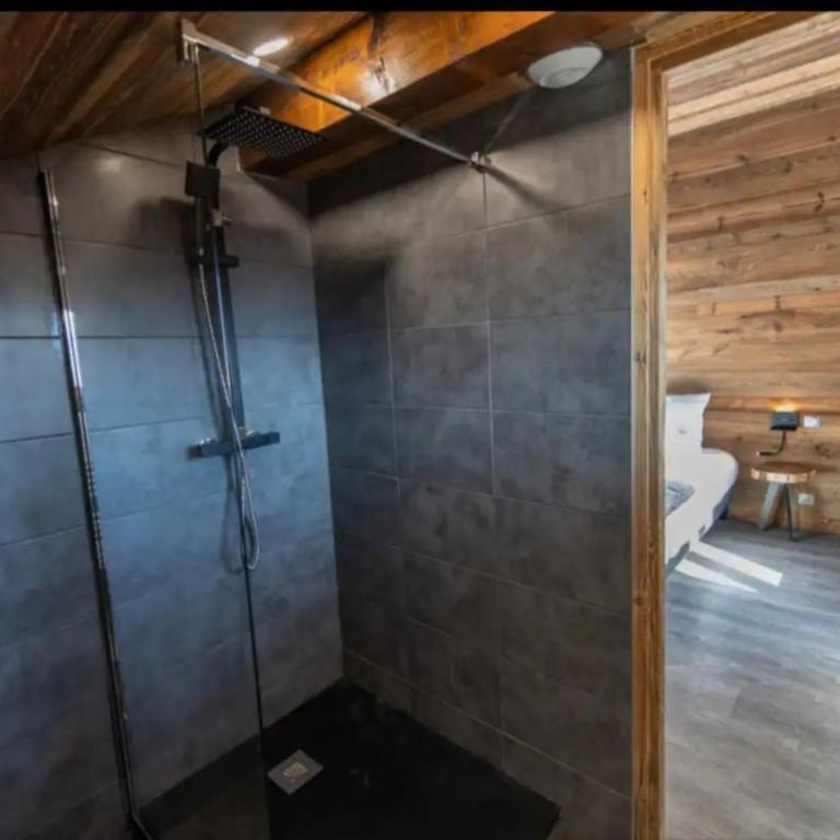 Chalet 24 pers sur la route du tour - Chalet - 26