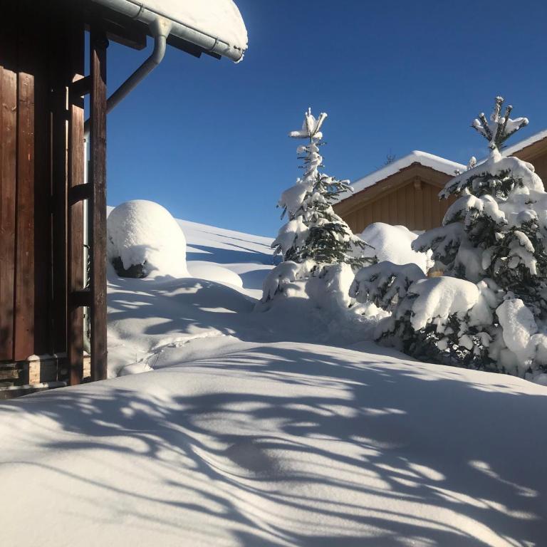 Haus Sonnenhang Wohnung 2 - Deluxe-Apartment mit 2 Schlafzimmern und Gartenblick - 28