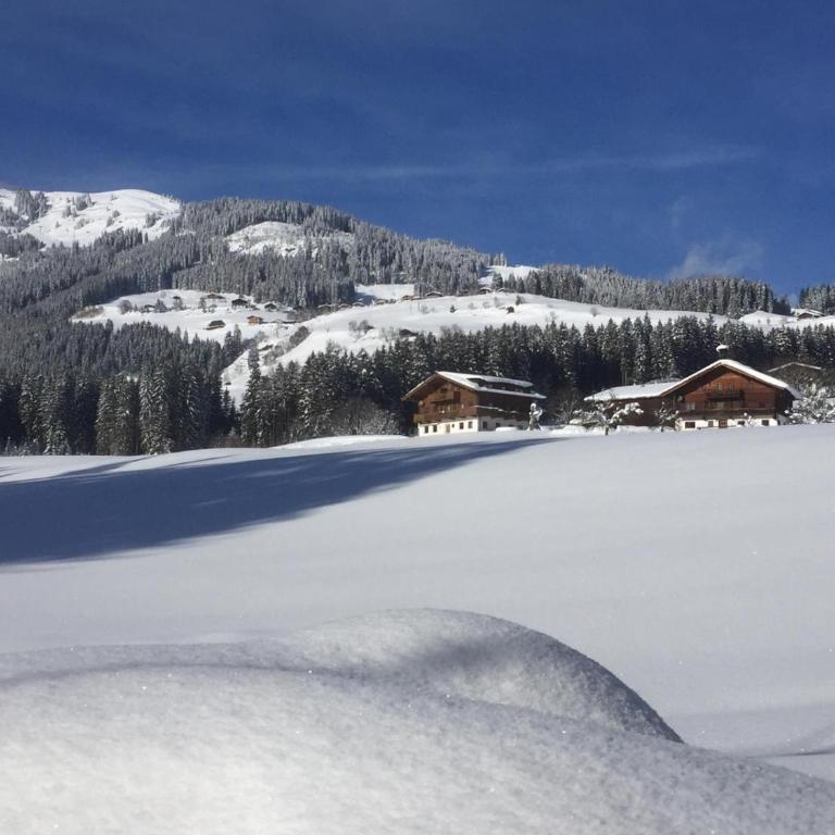 Ferienwohnung Thurn-ummerstall - Apartamento Premium de 3 dormitorios con balcón - 27