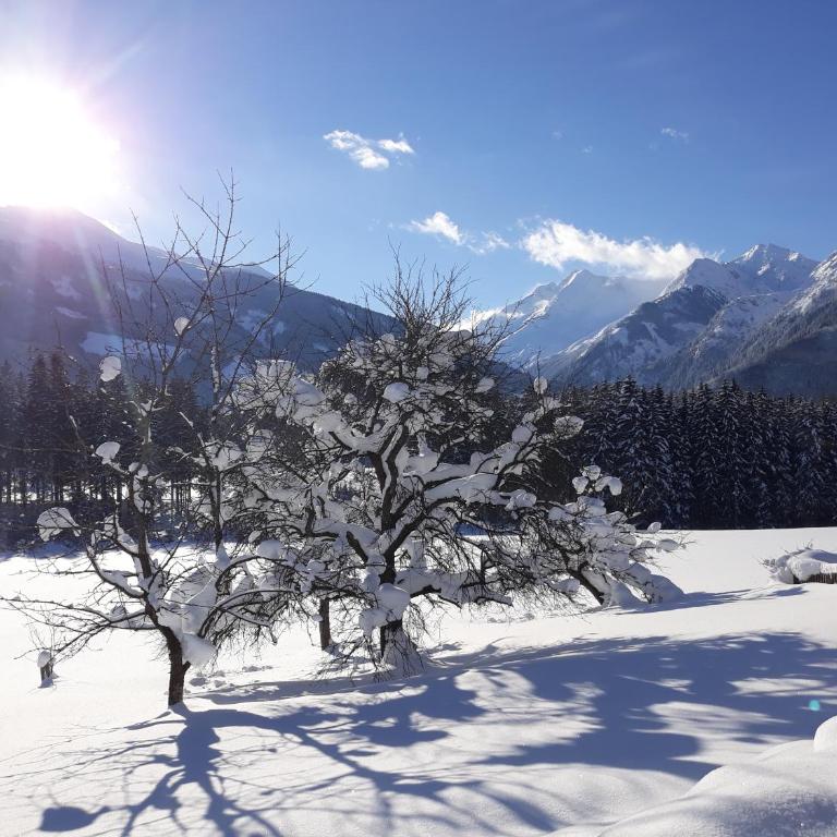 Ferienwohnung Thurn-ummerstall - Apartamento Premium de 3 dormitorios con balcón - 30