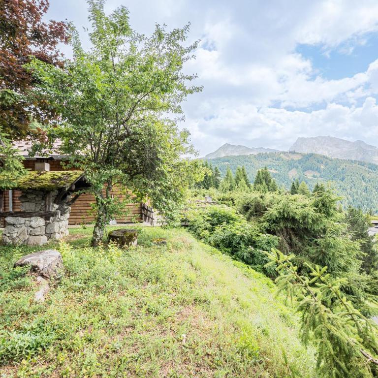 Chalet Farapreu - Chalet 2 Chambres - 25