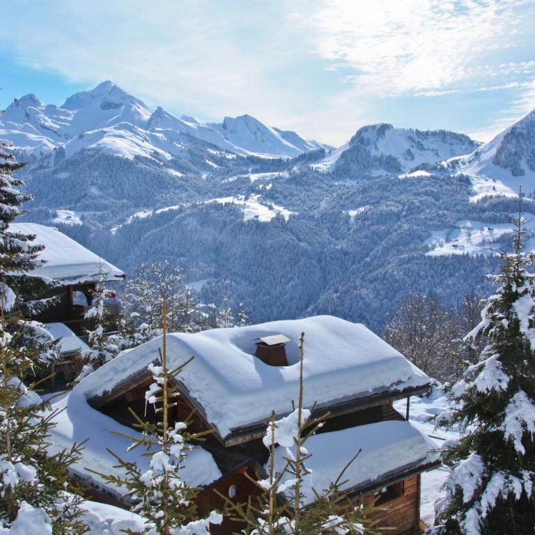 Chalet Farapreu - Chalet 2 Chambres - 29