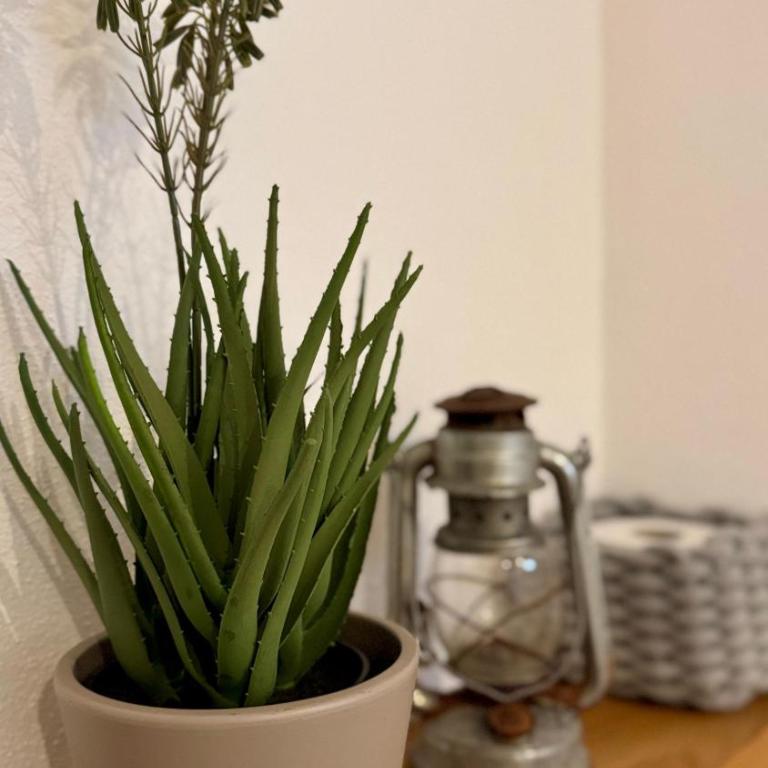 Kathi´s Allgäuliebe - Apartment mit 1 Schlafzimmer und Gartenblick - 12