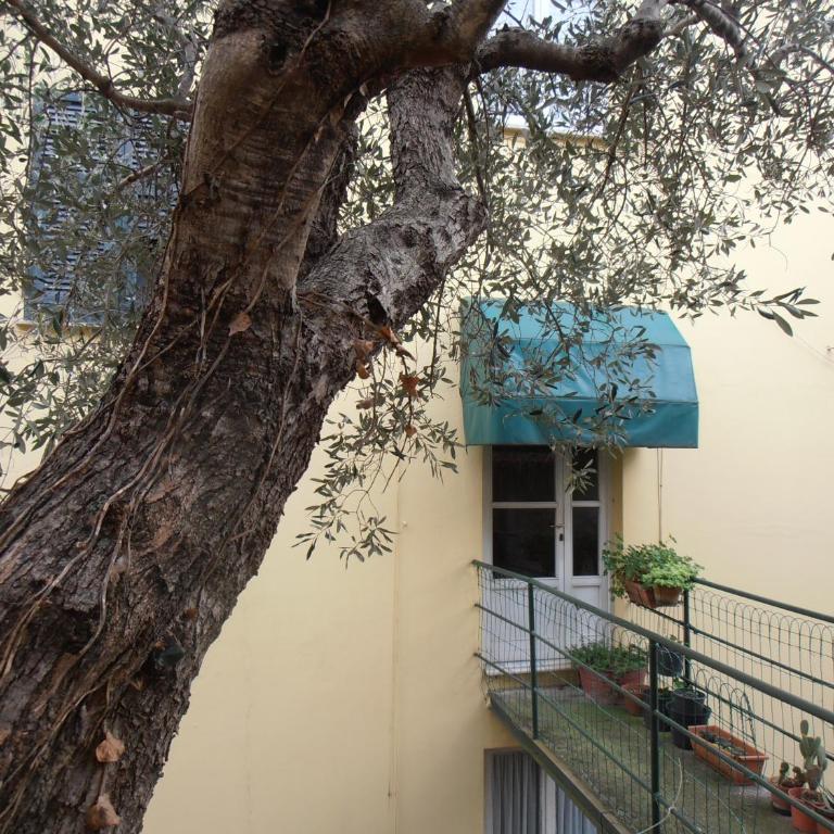 Casa dell'ulivo - Appartamento con 2 Camere da Letto - 25
