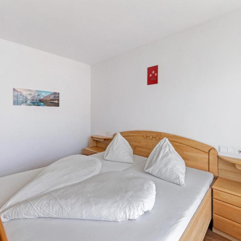 Obertrisaierhof Wohnung 2 - Appartamento con 1 Camera da Letto e Vista Giardino - 6