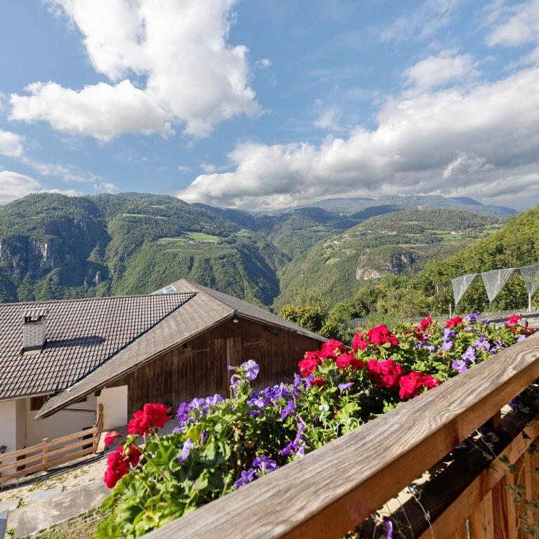 Obertrisaierhof Wohnung 2 - Appartamento con 1 Camera da Letto e Vista Giardino - 5