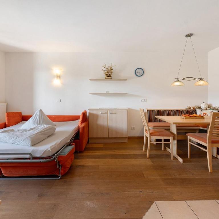 Obertrisaierhof Wohnung 2 - Appartamento con 1 Camera da Letto e Vista Giardino - 10