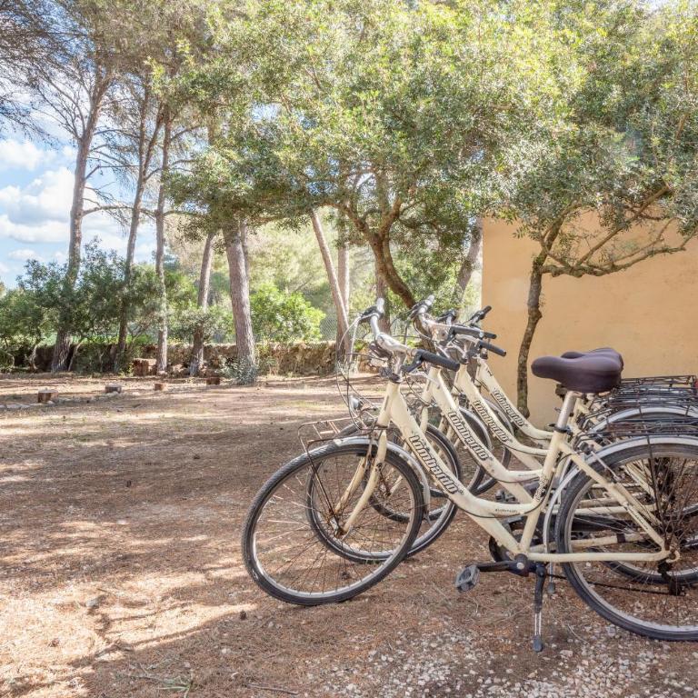 Marina Ses Covetes - Three-Bedroom House - 28