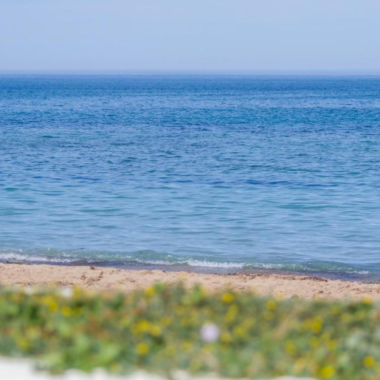 Apartamento Golden Park - Apartamento Deluxe de 2 dormitorios con vistas al jardín - 27