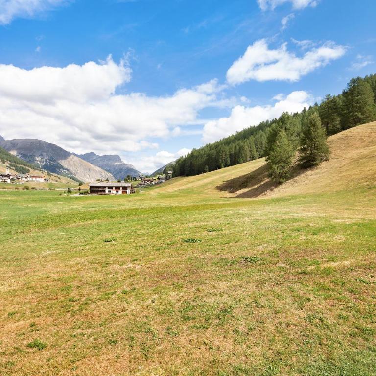 Appartamento Legnameir Bait da Rez - Appartamento Premium con 3 Camere da Letto e Balcone - 21