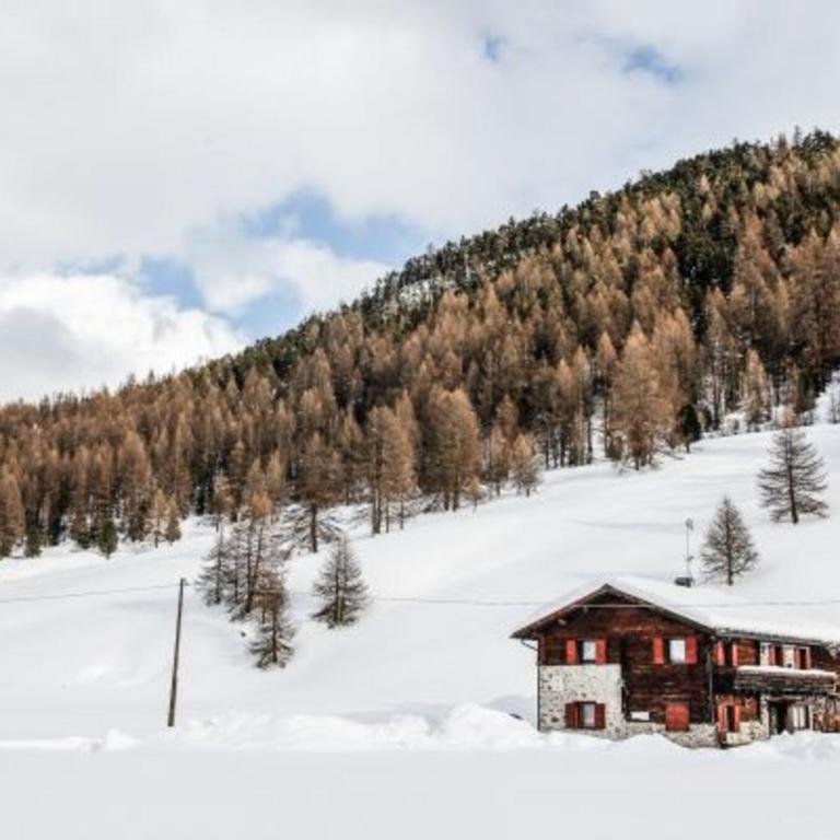 Appartamento Legnameir Bait da Rez - Appartamento Premium con 3 Camere da Letto e Balcone - 24