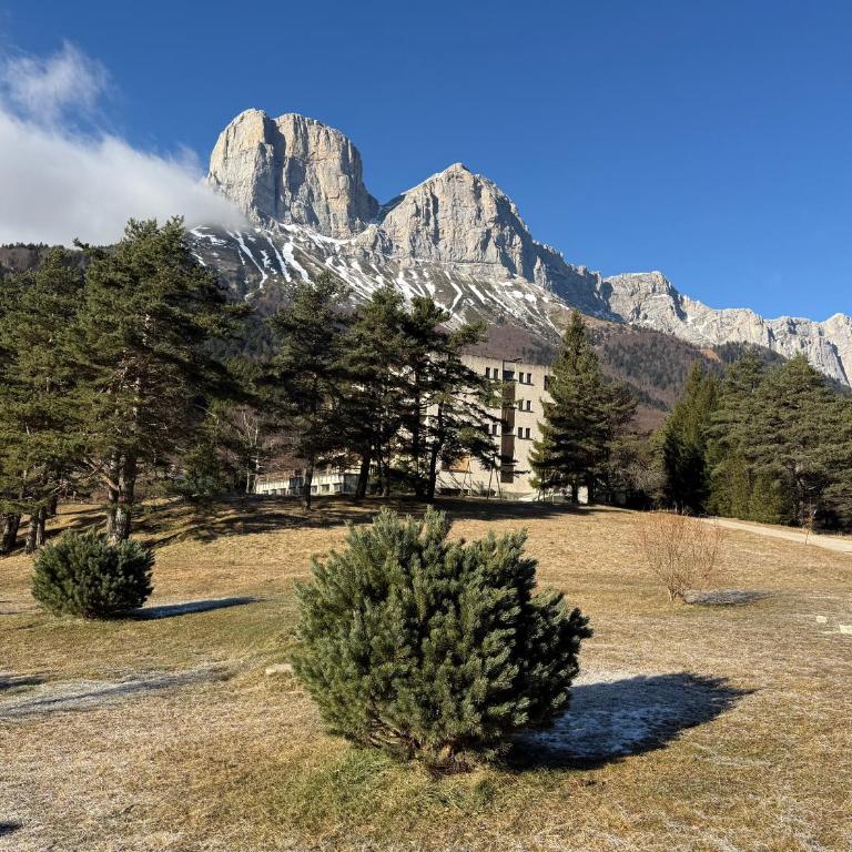 Le nid du vercors - Appartement 1 Chambre - 44