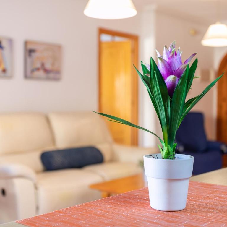 El Albero - Apartamento Deluxe de 2 dormitorios con vistas al jardín - 6