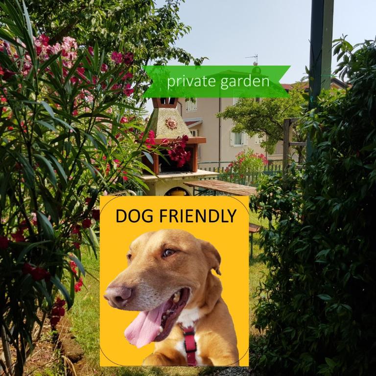 App Oleandro Casa Demonti - Appartamento con 1 Camera da Letto e Vista Giardino - 26