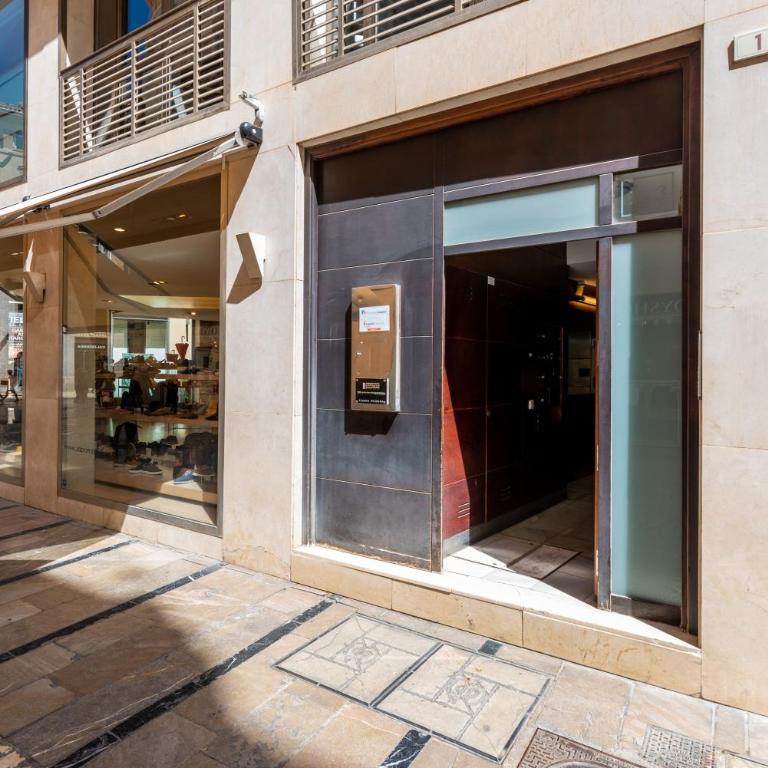 vistas panóramicas Calle Larios - Apartamento Premium de 3 dormitorios con balcón - 27