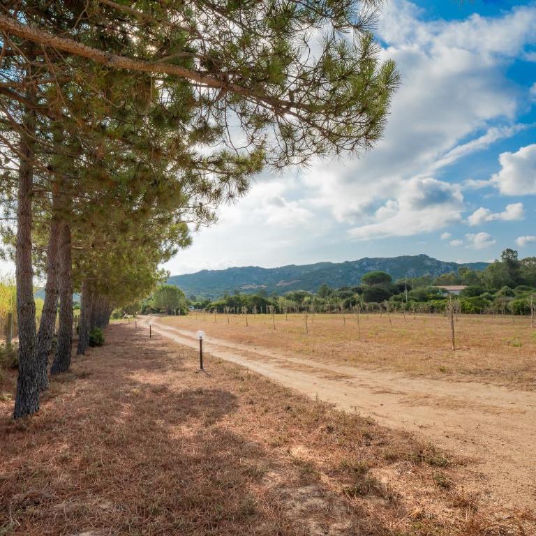 Gli Ulivi Palau - Lu Maccioni - Casa con 2 Camere da Letto - 25