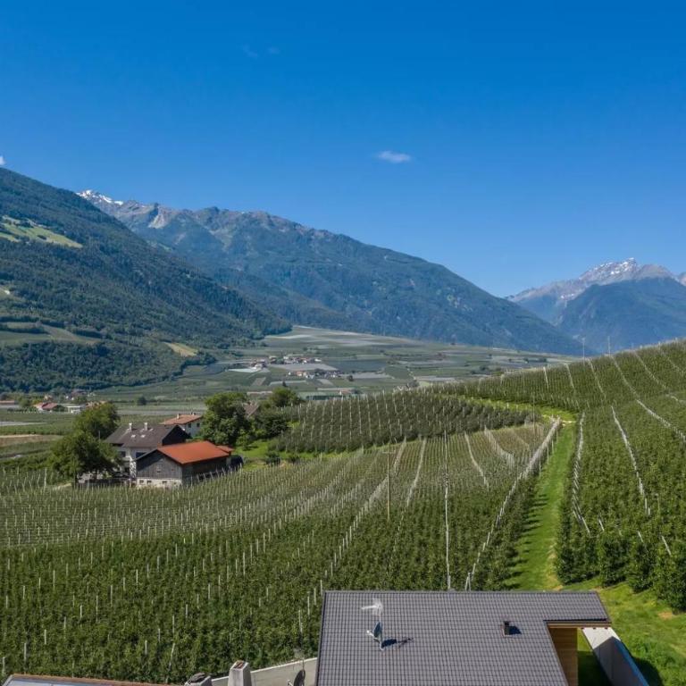 Pixnerhof - Ferienwohnung Gala - Superior Apartment mit 1 Schlafzimmer und Balkon - 29