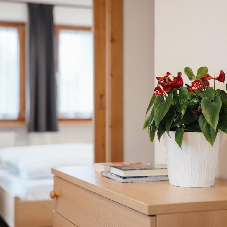 Ciasa Willy App Sas La Crusc - One-Bedroom Apartment with Garden View - 15