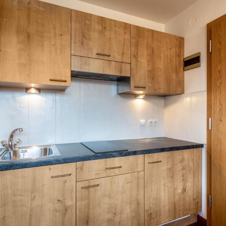 Kammerhof Apartment Apfel - Apartamento Superior de 1 dormitorio con balcón - 5
