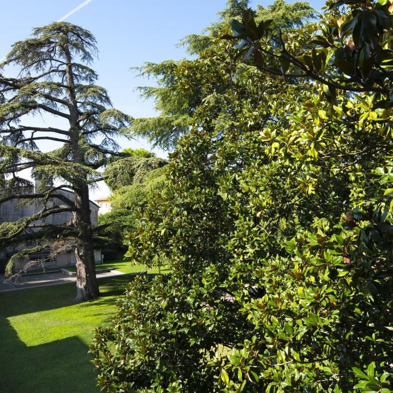 Appartamenti Dama 1 - Appartamento con 1 Camera da Letto e Vista Giardino - 24
