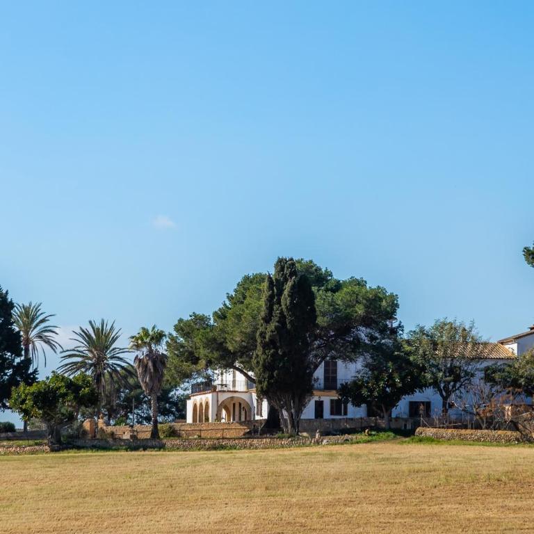 Son Crespi Vell - Apartamento de 1 dormitorio con jardín - 23
