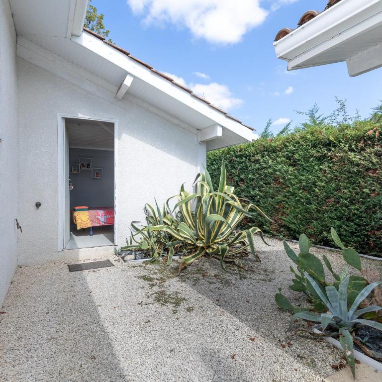 Maison De Vacances 8pers Seignosse - Ferienhaus - 19