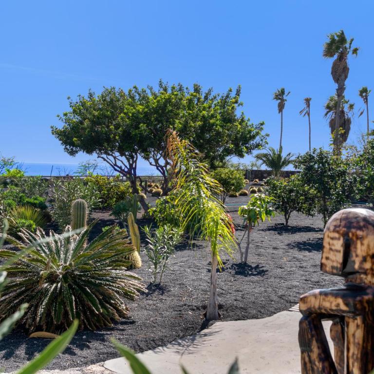 El Alcaidón - Apartamento Estudio con vistas al mar - 25