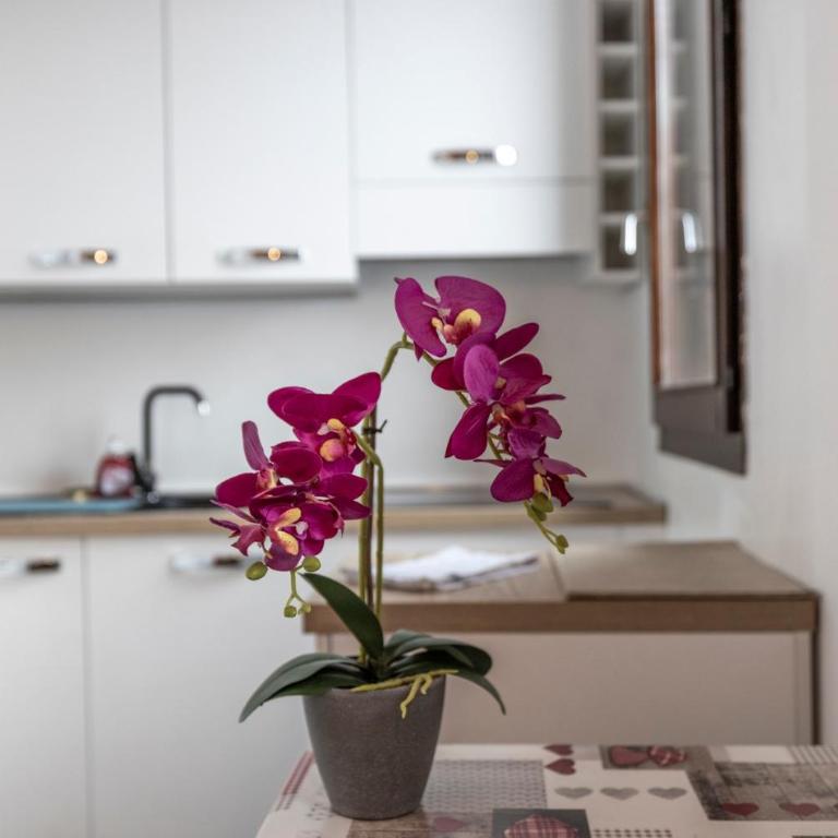 Oasi In the City Center Chamonix - Appartamento con doccia - 7
