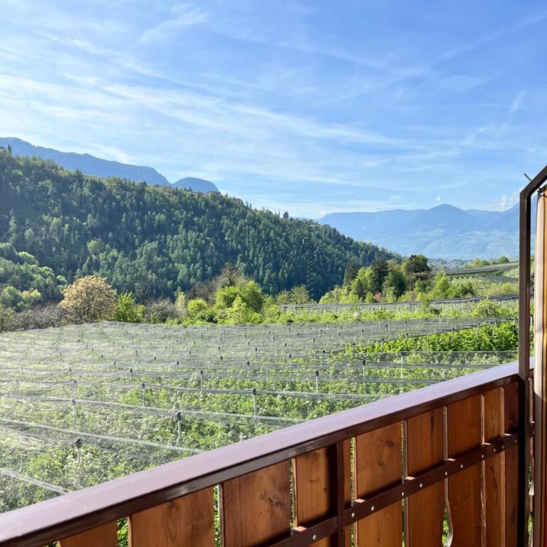 Pension Thalerhof - Camera Matrimoniale con Vista Montagna - 7