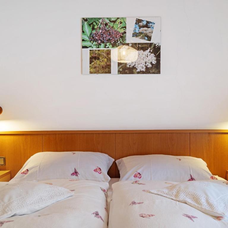 Mittermüllerhof Feldthurns - Apartment mit 1 Schlafzimmer und Gartenblick - 3