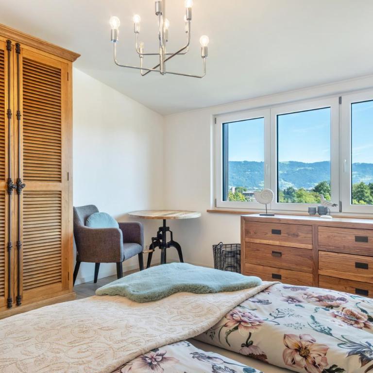 Pfänderblick - Appartamento con 1 Camera da Letto e Vista Giardino - 14