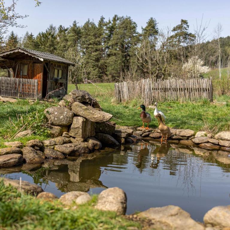 Silbernagl Terrasse - Blick zum See - Appartamento con 1 Camera da Letto e Vista Lago - 29