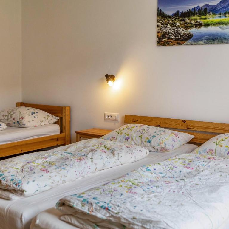 Silbernagl Terrasse - Blick zum See - Appartamento con 1 Camera da Letto e Vista Lago - 16