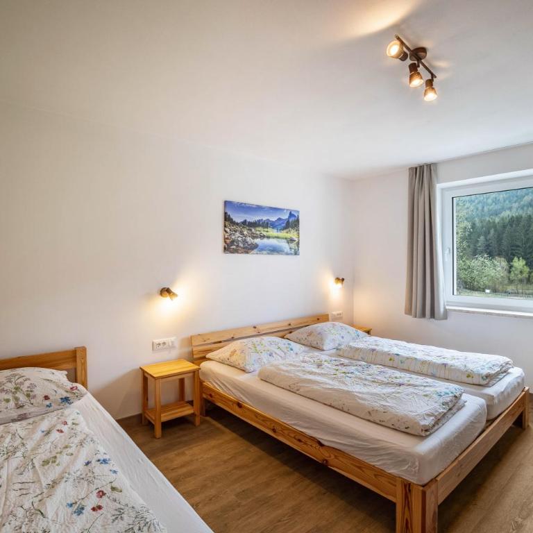 Silbernagl Terrasse - Blick zum See - Appartamento con 1 Camera da Letto e Vista Lago - 12