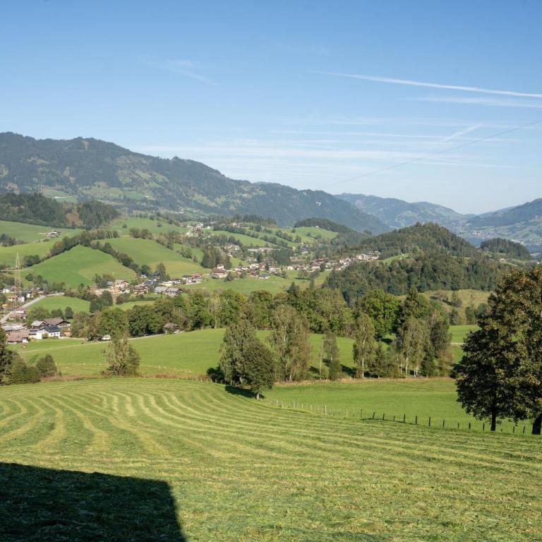 Knollgut Ferienwohnung Buchberg - Deluxe-Apartment mit 2 Schlafzimmern und Gartenblick - 4