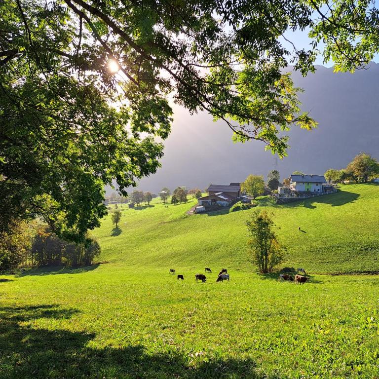 Knollgut Ferienwohnung Buchberg - Deluxe-Apartment mit 2 Schlafzimmern und Gartenblick - 18