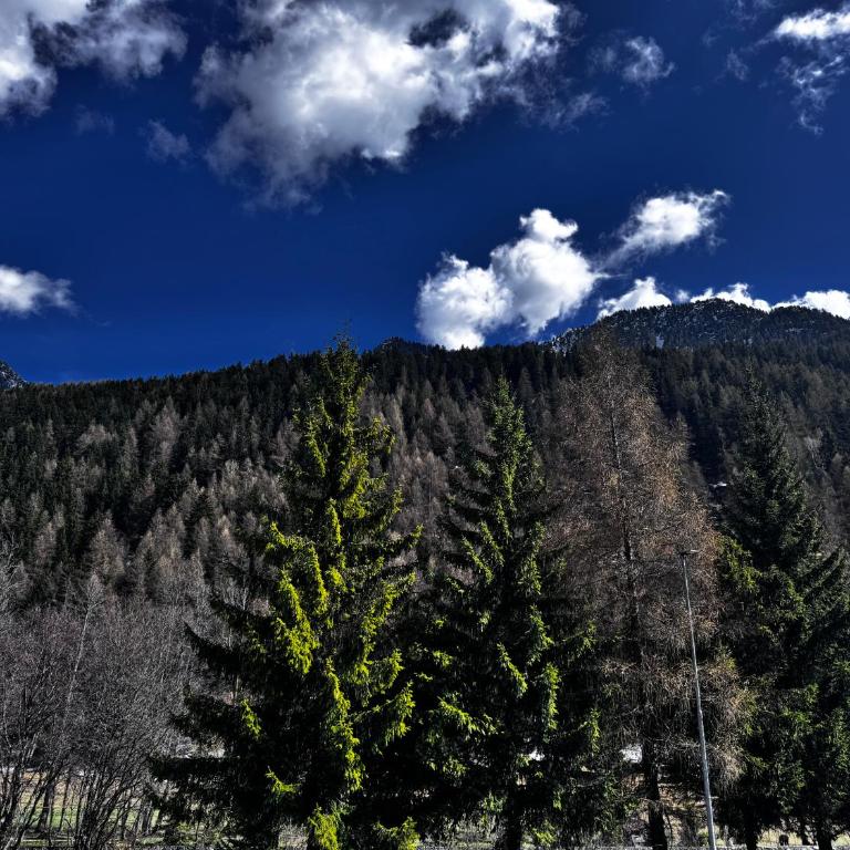 Grande Maison Du Coeur Champoluc Spa,Gym e Aree Relax - Two-Bedroom Apartment - 11