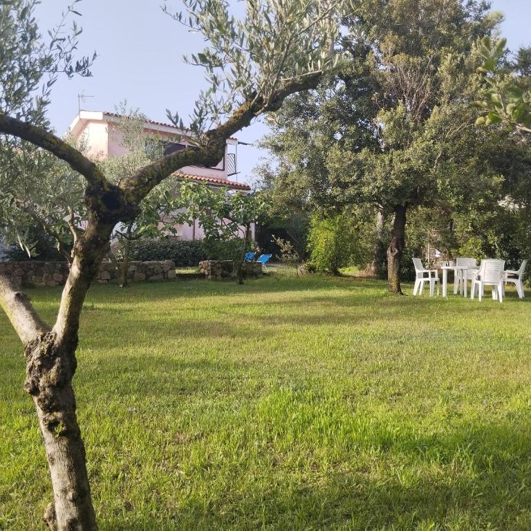 Appartamento in villa Bruno - Appartamento Superior con Vista Città - 20