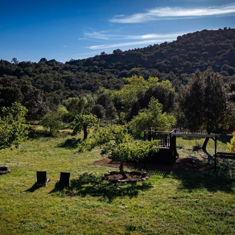 Bosque Apartamento - Apartamento Deluxe de 2 dormitorios con vistas al jardín - 28