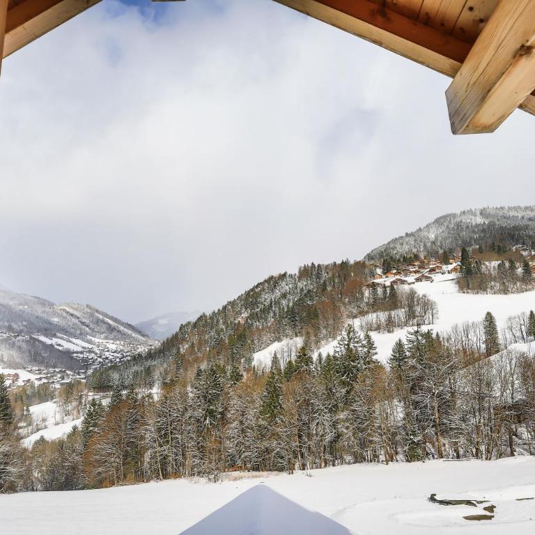 Appt La Grange - 14 pers 7 chambres, duplex, Piscine - ARAVISTOUR - Appartement - 24