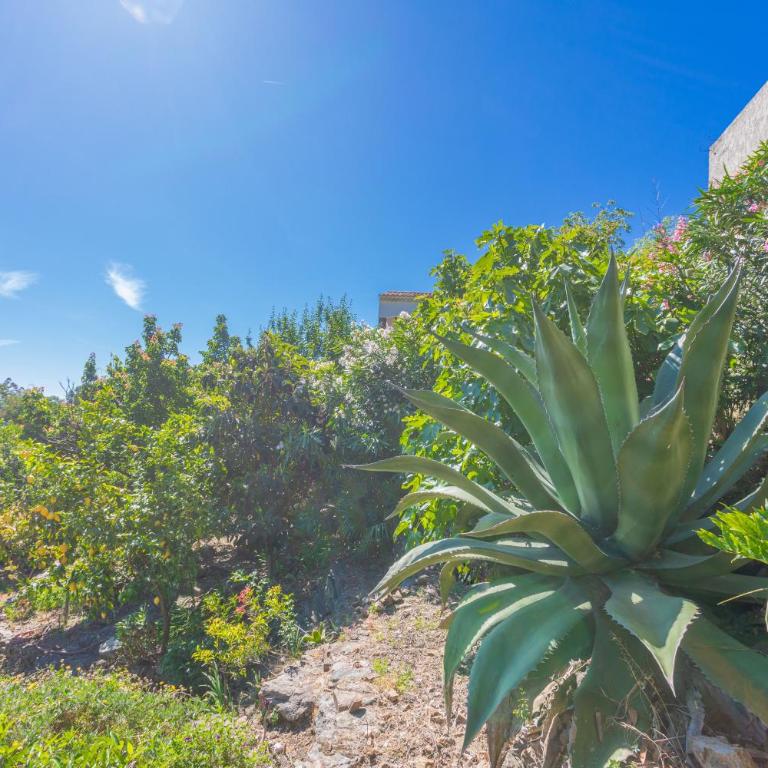 Vue mer dans les collines Cavalaire - Studio Apartment with Sea View - 20